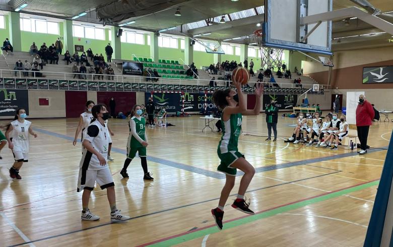 FECHAS DE TRABAJO TECNIFICACIÓN MINIBASKET